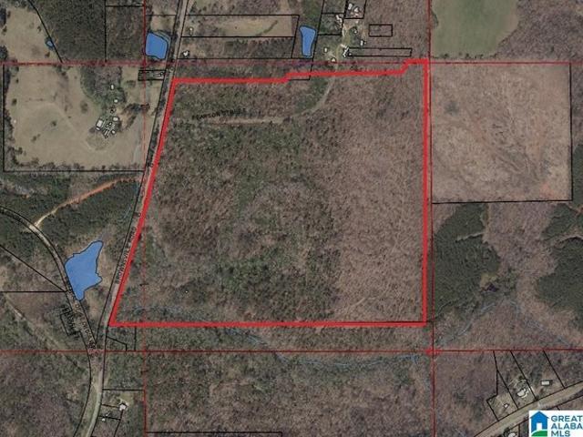 Land for sale in Goodwater, Coosa County