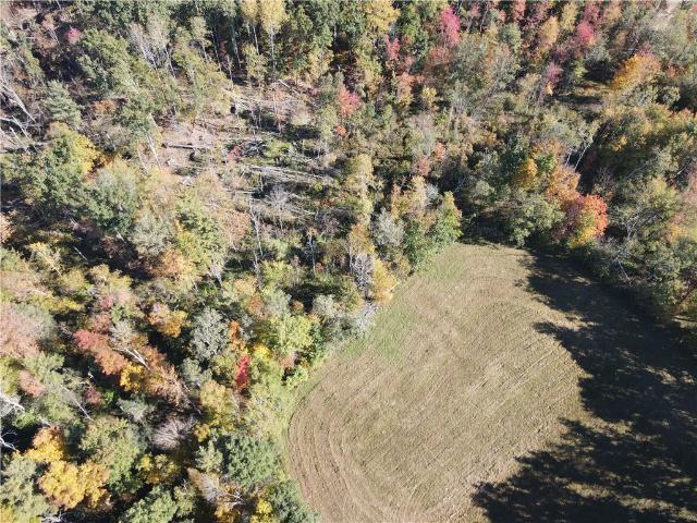Land for sale in Town of Lindley, Steuben County