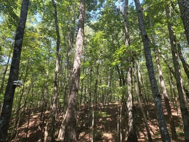 Land for sale in Rockmart, Polk County