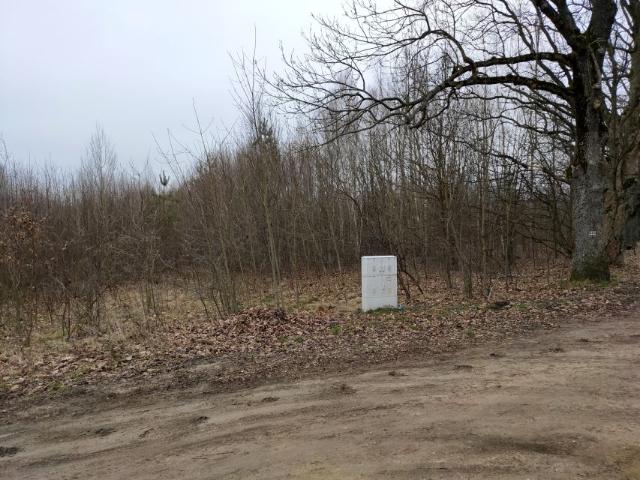 Grunt na sprzedaż w Białowieża, Podlaskie