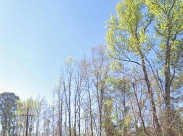 Land for sale in Bamberg Land for sale in Bamberg
