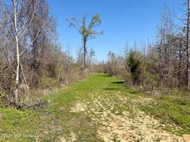 Land for sale in Lexington, Mississippi