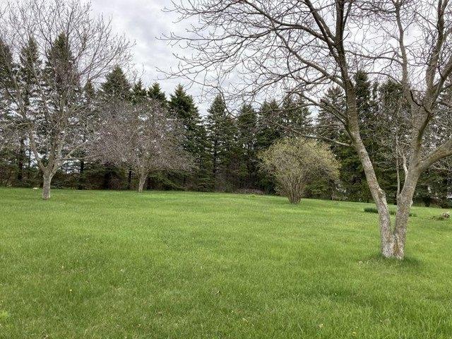 Land for sale in Filion, Michigan