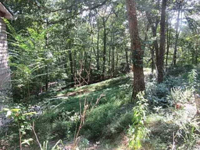 House for sale in Brasstown, North Carolina