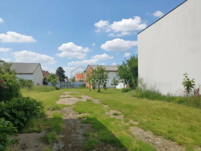 Grundstück kaufen in Bruck an der Leitha, Niederösterreich