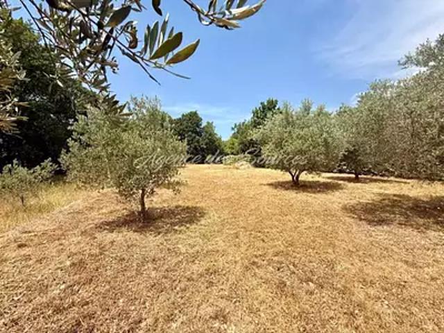 Terrain vente à Brue-Auriac, Var