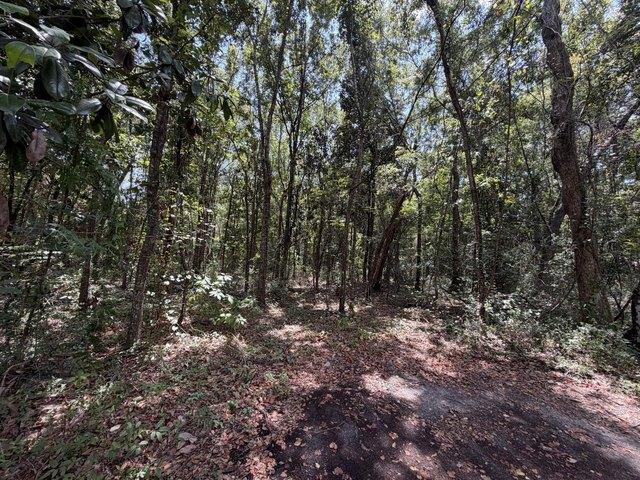 Land for sale in Ocean Springs, Mississippi