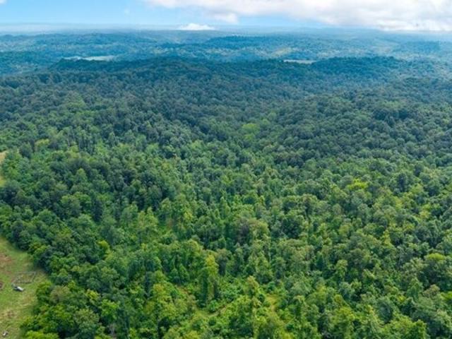 Land for sale in Crown City