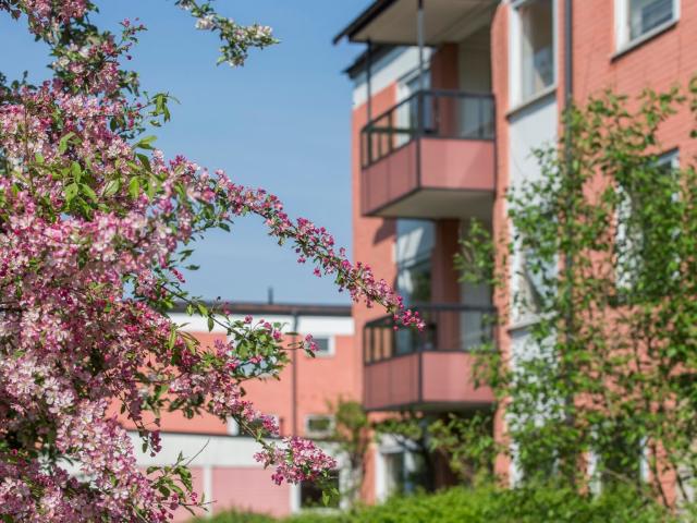 Lägenhet hyra i Uppsala