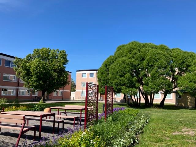 Lägenhet hyra i Uppsala