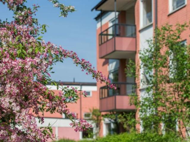 Lägenhet hyra i Uppsala