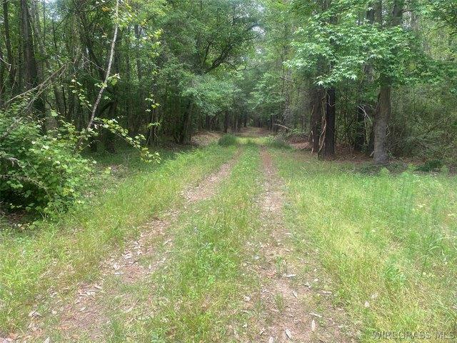 Land for sale in Dozier, Alabama