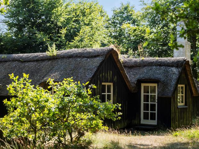 Hus til salg i Brønderslev-Dronninglund