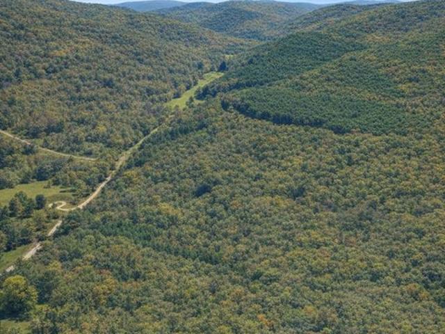 Land for sale in Tennessee