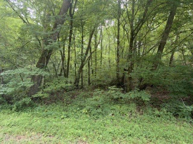 Farm for sale in Lawrenceburg, Middle Tennessee