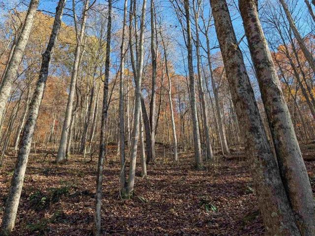 Farm for sale in Mannington, West Virginia