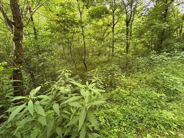 Land for sale in West Virginia