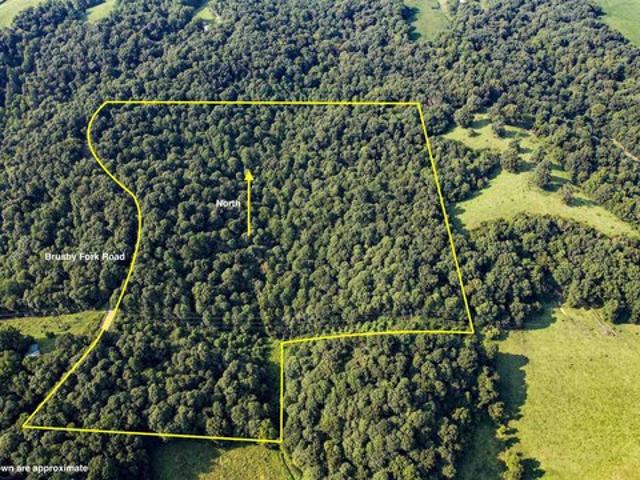 Land for sale in Tell City, Indiana
