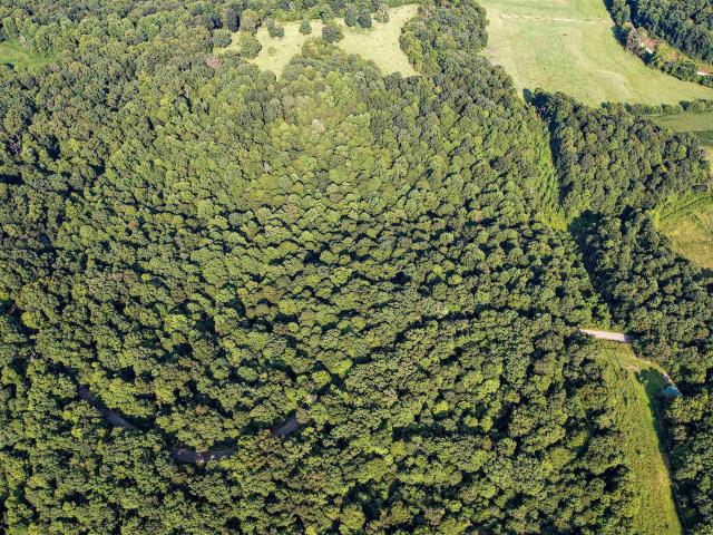 Land for sale in Tell City, Indiana