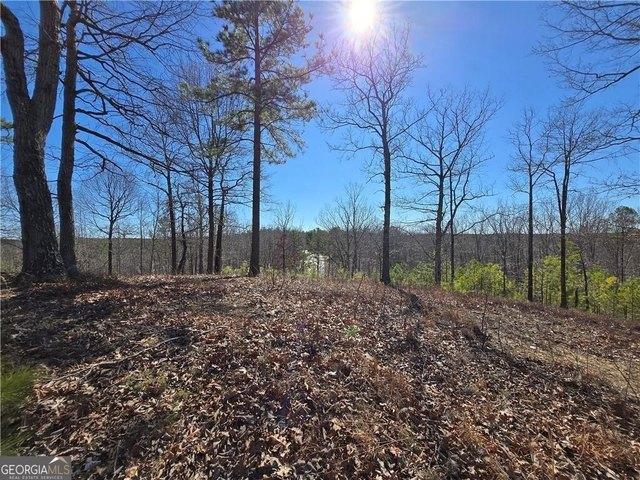 Land for sale in Rockmart, Georgia