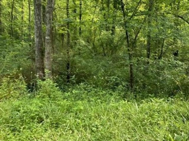 Land for sale in Pikeville