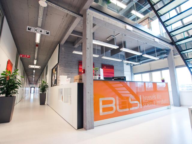 Bureau location à Sint-lambrechts-woluwe, Bruxelles