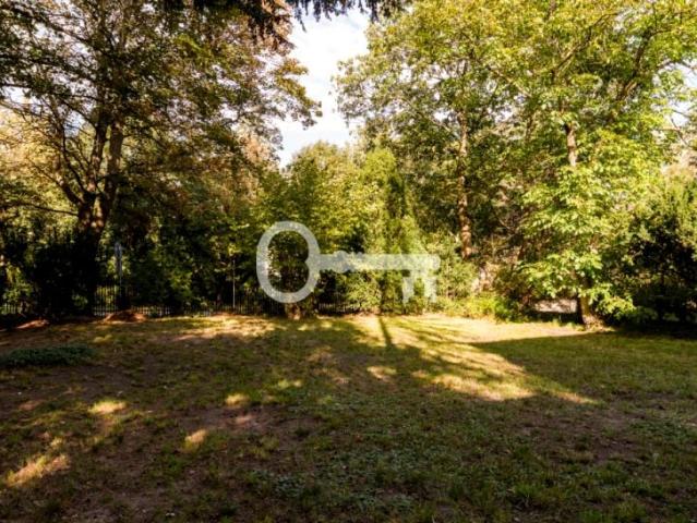 Mieszkanie do wynajęcia w Podkowa Leśna, Mazowieckie