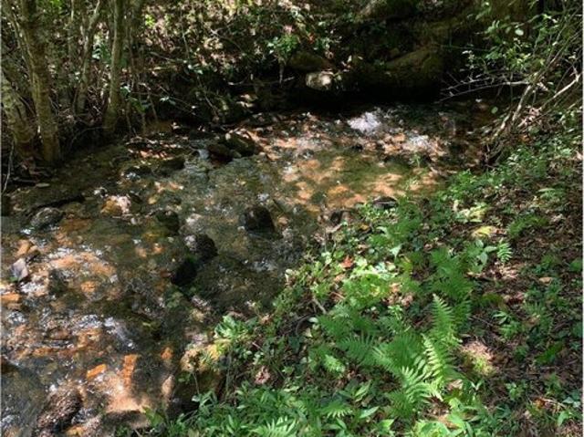 Land for sale in Blairsville, Georgia