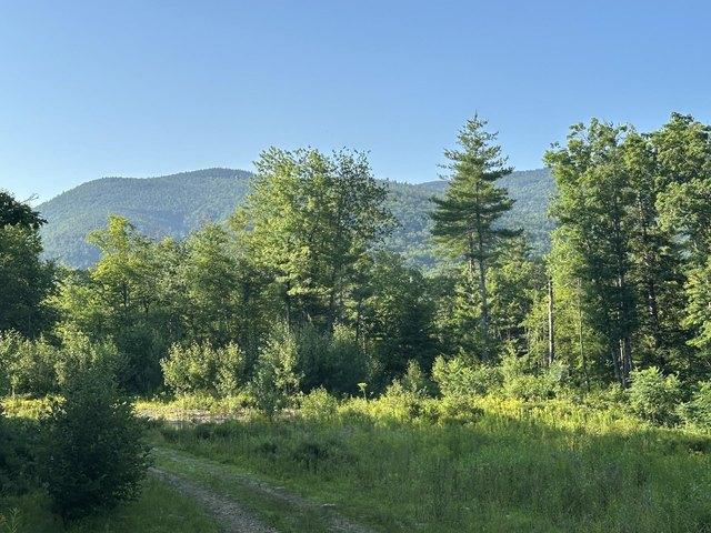 Land for sale in New Hampshire