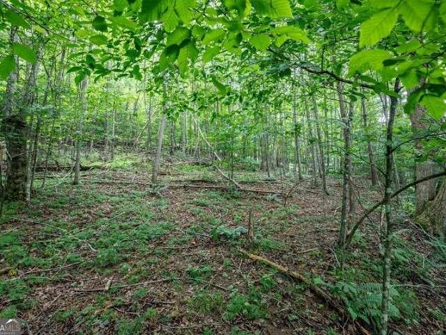 Land for sale in Blairsville