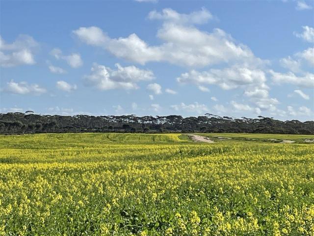 Cottage for sale in Pingrup, Western Australia