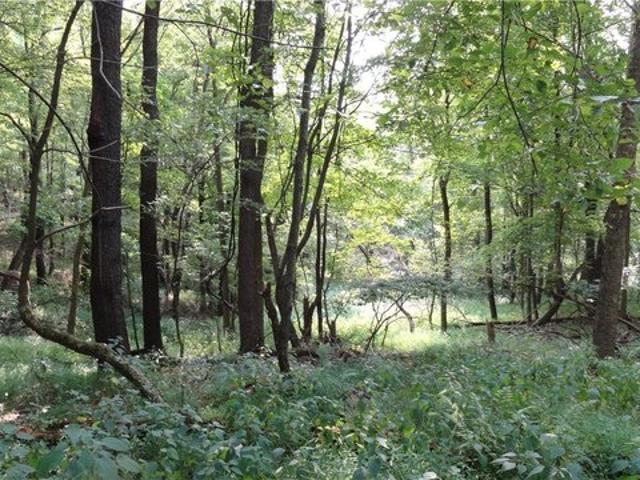Land for sale in Colliers, West Virginia