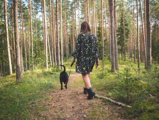 Lägenhet hyra i Virserum, Kalmar