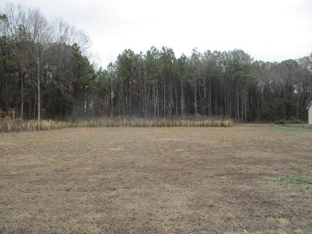 Land for sale in Varnell, Georgia