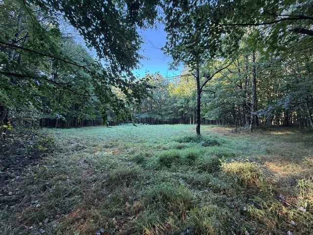 Land for sale in Farmington, Wharton Township