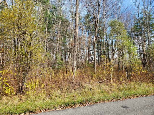 Land for sale in Goshen, Connecticut