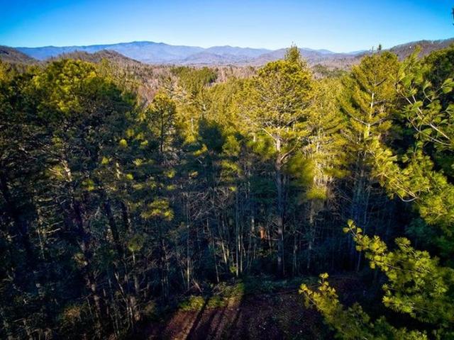 Land for sale in Bryson City, North Carolina