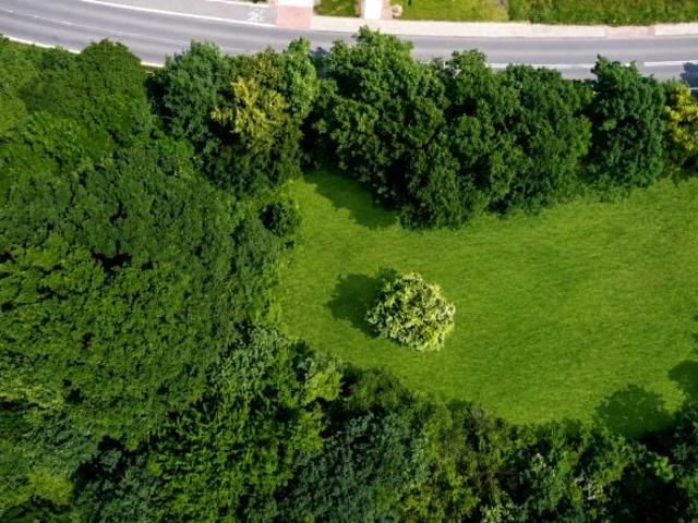 Grunt na sprzedaż w Racibórz, Śląskie