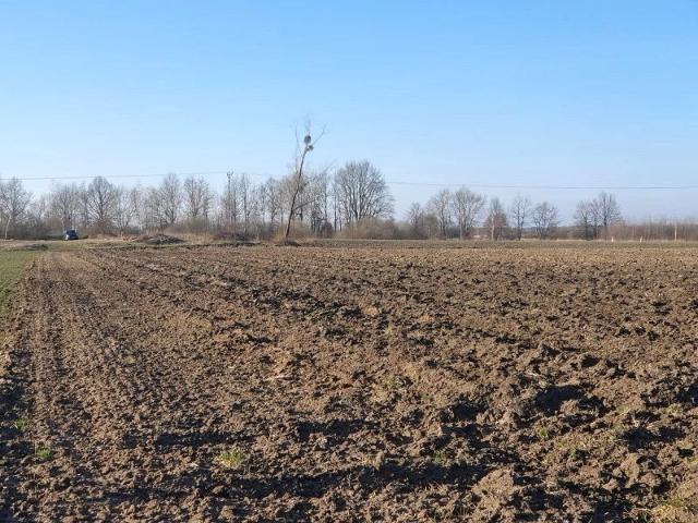 Grunt na sprzedaż w Lubsza, Opolskie