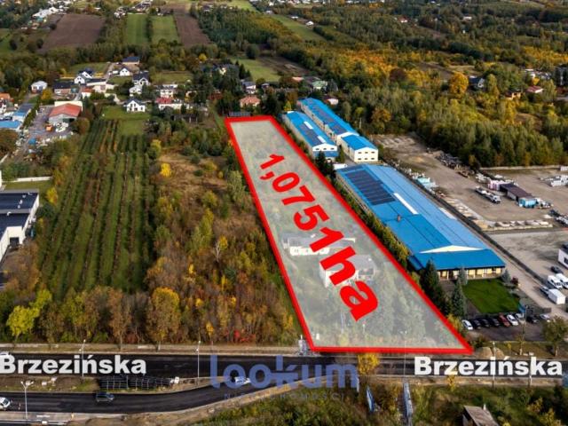 Grunt na sprzedaż w Łódź, Łódzkie