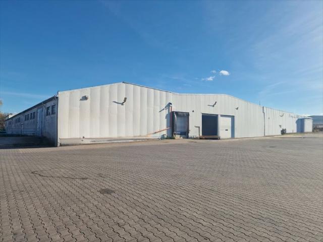 Mieszkanie do wynajęcia w Brzeziny, Łódzkie