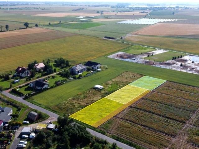 Grunt na sprzedaż w Tarnowo Podgórne, Wielkopolskie