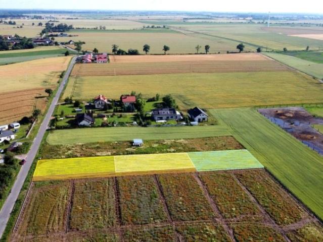 Grunt na sprzedaż w Tarnowo Podgórne, Wielkopolskie