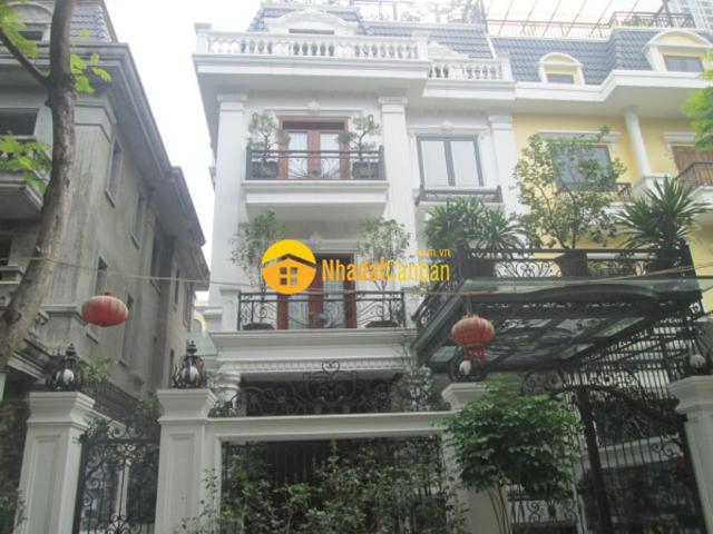 Biệt Thự bán