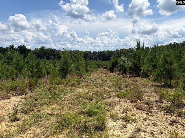 Land for sale in Jefferson, South Carolina