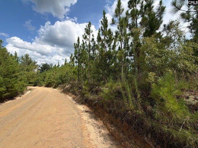 Land for sale in Jefferson, South Carolina