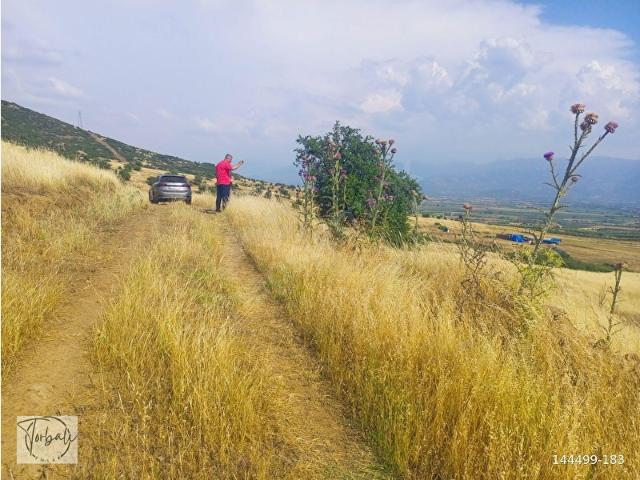 Tire, İzmir içerisinde satılık Arsa