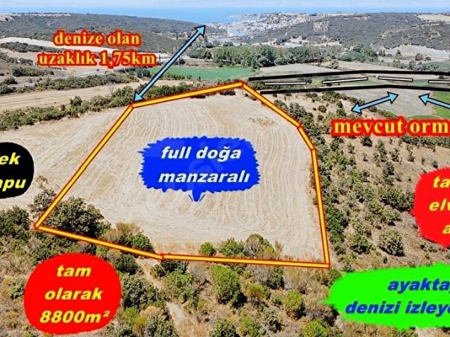 Bekirli, Biga içerisinde satılık Arsa