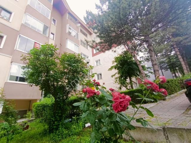 Etimesgut, Ankara içerisinde kiralık mülk