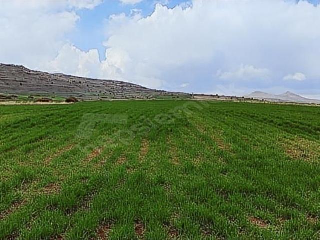 Gemerek, Sivas içerisinde satılık Arsa